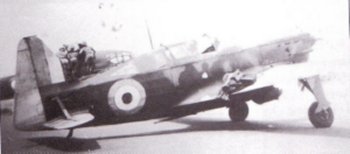 MS.406, in RAF markings