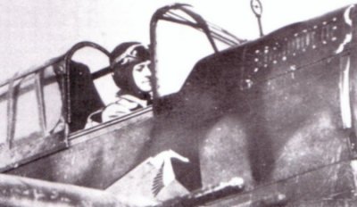 Edmond Marin La Meslee in the cockpit of his six gun Hawk