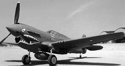 Nice example of a P-40